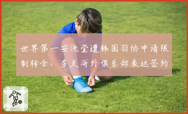 世界第一安洗莹遭韩国羽协申请限制转会,多支海外俱乐部表达签约意向