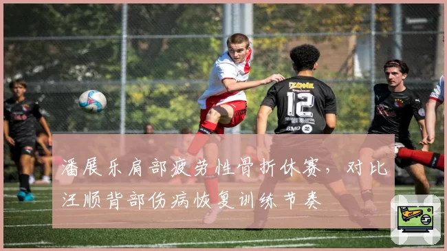 潘展乐肩部疲劳性骨折休赛,对比汪顺背部伤病恢复训练节奏